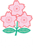Japan union badge