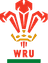 Wales union badge